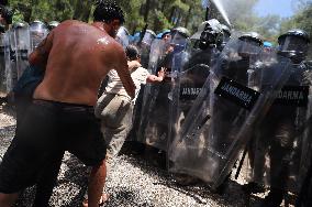 Protesters Occupy Forest To Stop Coal Mine Expansion - Turkey