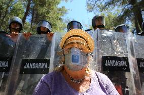 Protesters Occupy Forest To Stop Coal Mine Expansion - Turkey