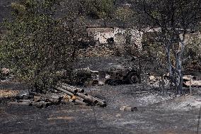 GREECE-WILDFIRE-AFTERMATH