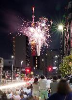Display of fireworks in Tokyo