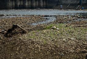 Water Level Decreased Due Hot Weather In Ciliwung River Indonesia