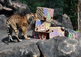 World Tiger Day Celebration In Indonesia