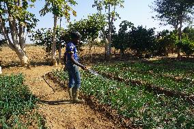 ZAMBIA-LUSAKA-RURAL COMMUNITIES-SOLAR ENERGY