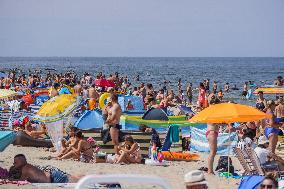 Summer On Vistula Spit