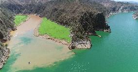 The Green Tao River And The Yellow River Meet in the Liujiaxia Reservoir Area