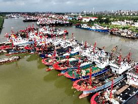 Chinese Fishery Industry