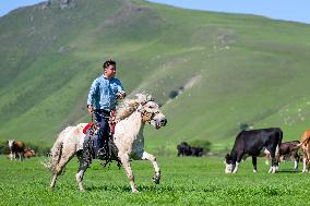 CHINA-INNER MONGOLIA-ULAN MOD GRASSLAND-HERDSMAN-SUMMER LIFE(CN)