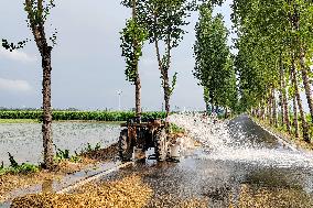 Super Typhoon Doksuri Caused Farmland Flooded