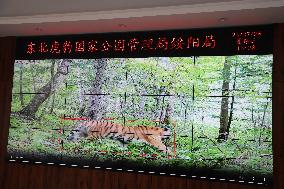 CHINA-HEILONGJIANG-SIBERIAN TIGERS-TECHNOLOGY (CN)