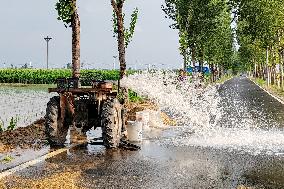 Super Typhoon Doksuri Caused Farmland Flooded