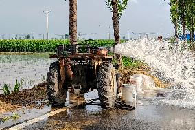 Super Typhoon Doksuri Caused Farmland Flooded