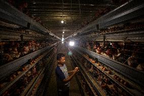 Electrifying Agriculture In Indonesia