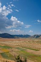 General View Of Casteluccio Di Norcia Lentil Fields