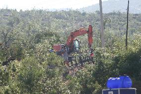 Protesters Occupy Forest To Stop Coal Mine Expansion - Turkey