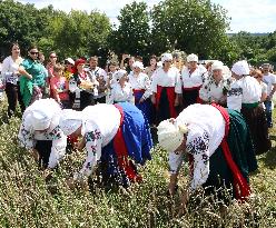 Ukrainian Bread Festival at Pyrohiv Museum