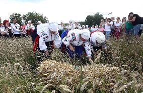 Ukrainian Bread Festival at Pyrohiv Museum