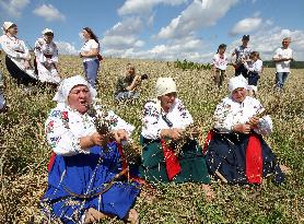 Ukrainian Bread Festival at Pyrohiv Museum