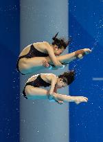 (Chengdu Universiade)CHINA-CHENGDU-WORLD UNIVERSITY GAMES-DIVING (CN)