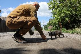 Feeding cats in Donetsk Region