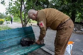 Feeding cats in Donetsk Region