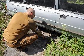 Feeding cats in Donetsk Region