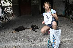 Feeding cats in Donetsk Region