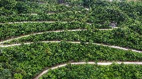 CHINA-GUANGXI-WINDING MOUNTAIN ROADS (CN)