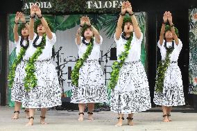 Traditional Polynesian Dance In Toronto