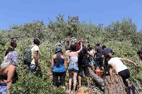 Gendarmerie  Continue To Protect Mining Company In Akbelen Forest - Turkey