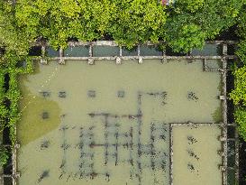 Uncompleted Residential Buildings in Beihai, China