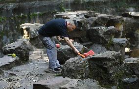 CHINA-ZHEJIANG-HANGZHOU-SUN BEAR(CN)