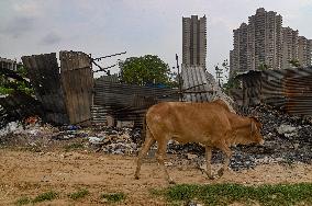 Aftermath Of Clashes In India