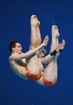 (Chengdu Universiade)CHINA-CHENGDU-WORLD UNIVERSITY GAMES-DIVING (CN)