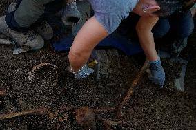 Exhumation Of A Mass Grave Of Franco´s Dictatorship.