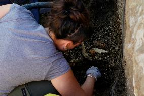 Exhumation Of A Mass Grave Of Franco´s Dictatorship.