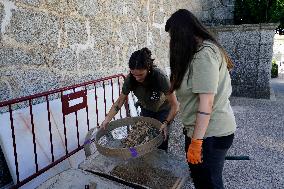 Exhumation Of A Mass Grave Of Franco´s Dictatorship.