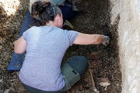 Exhumation Of A Mass Grave Of Franco´s Dictatorship.