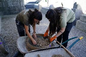 Exhumation Of A Mass Grave Of Franco´s Dictatorship.