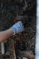 Exhumation Of A Mass Grave Of Franco´s Dictatorship.