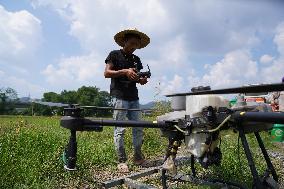 CHINA-JIANGXI-XINYU-RICE PLANTING-TECHNOLOGY (CN)