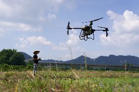 CHINA-JIANGXI-XINYU-RICE PLANTING-TECHNOLOGY (CN)