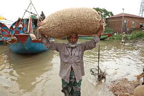 Unloading Rice - Bangladesh