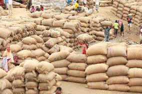 Unloading Rice - Bangladesh