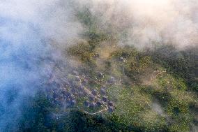 Rural Environment in China