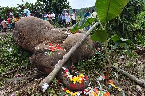 INDIA-ASSAM-GUWAHATI-ELEPHANTS-ELECTROCUTION