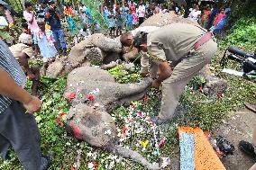 INDIA-ASSAM-GUWAHATI-ELEPHANTS-ELECTROCUTION