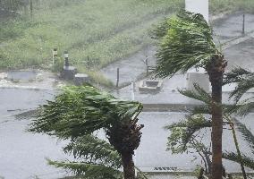 Powerful typhoon hits southern Japan