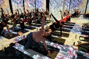 Brew Yoga At Van Gogh Alive In Bangkok.