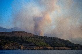 At Least 200 Hectares Burned During Forest Fires In Spain