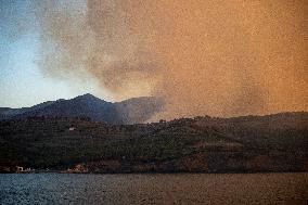 At Least 200 Hectares Burned During Forest Fires In Spain